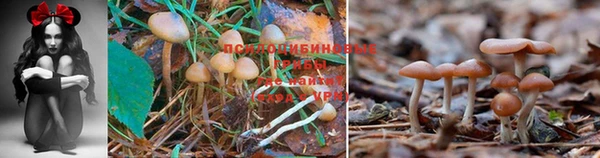 меф Горно-Алтайск