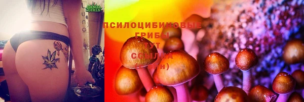 марки lsd Горнозаводск