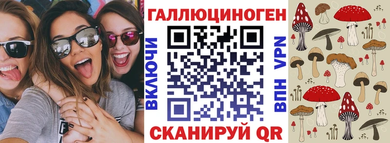 Галлюциногенные грибы Cubensis  MEGA онион  Евпатория 